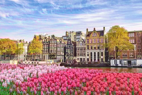 The Netherlands in Pictures_ 20 Beautiful Places to Photograph-1